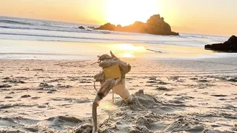 Michael's First Trip To The Beach