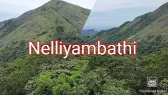 Nelliyambathi hill station /Nelliyambathi yathra/travel vlog/Innus kitchen by jisha