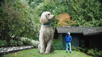 Aminé - Charmander (Official Music Video)