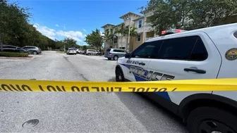 Grandmother, 77, shot while on Delray Beach balcony