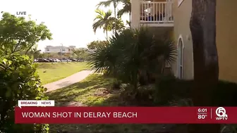 Grandmother, 77, shot while on Delray Beach balcony