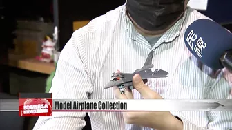 Model airplane collection sheds light on world events