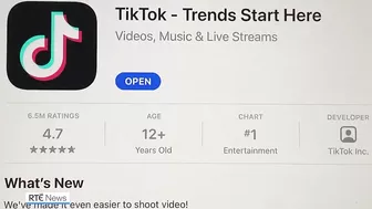 'Concerns' over TikTok data as Govt advised against use