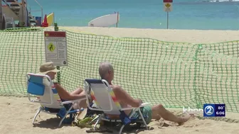 ‘Find another beach to recreate at’: Officials say of Kaimana Beach