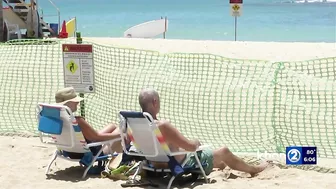 ‘Find another beach to recreate at’: Officials say of Kaimana Beach