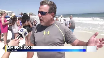 Massive shark washes ashore in Orange Beach