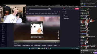 Chinese TikTok calls xQc a "retard"