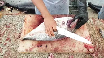 Fastest Fish Cutting Compilation।। Fastest Fish Cutting Skills।। Fastest Fish Cutting ASMR