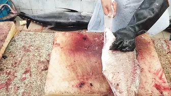 Fastest Fish Cutting Compilation।। Fastest Fish Cutting Skills।। Fastest Fish Cutting ASMR