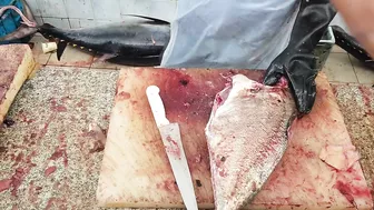 Fastest Fish Cutting Compilation।। Fastest Fish Cutting Skills।। Fastest Fish Cutting ASMR