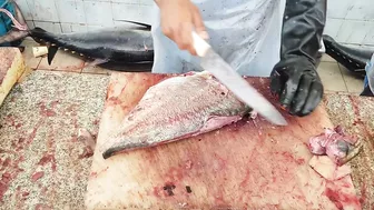 Fastest Fish Cutting Compilation।। Fastest Fish Cutting Skills।। Fastest Fish Cutting ASMR