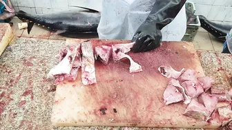 Fastest Fish Cutting Compilation।। Fastest Fish Cutting Skills।। Fastest Fish Cutting ASMR