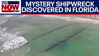 Mystery shipwreck washes ashore near Daytona Beach Shores in Florida | LiveNOW from FOX