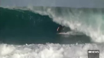 Geraldton surfer recovering after being bitten on the arm by a shark at a remote beach ABC News