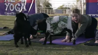 Find your zen with AZ Goat Yoga in Gilbert