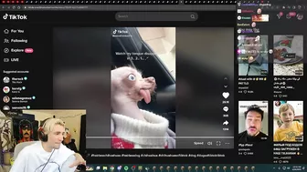 xQc Loses It After Finding A Rat Dog on TikTok