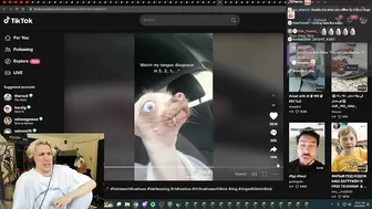 xQc Loses It After Finding A Rat Dog on TikTok