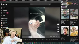 xQc Loses It After Finding A Rat Dog on TikTok