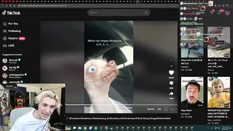 xQc Loses It After Finding A Rat Dog on TikTok