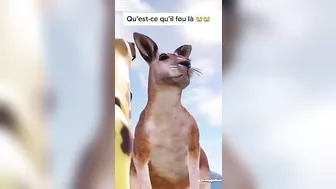 ???? J'ai percé sur TikTok en 24h !