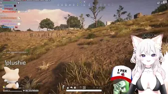 Vedal the Ice cream turtle man in Anny stream on PUBG