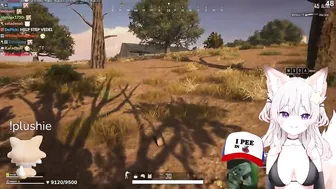 Vedal the Ice cream turtle man in Anny stream on PUBG