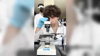 Cloning a Model In a DNA Laboratory????(FULL VIDEO)