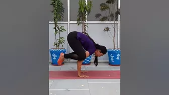 Kakasana #yoga #yogalife #yogapractice #kakasana