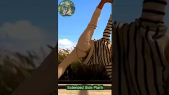 Flexible Yoga Stretching Side Plank Variation #shorts