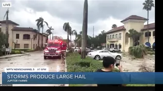 Storm damage reported in Palm Beach Gardens