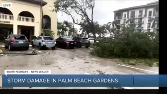 Storm damage reported in Palm Beach Gardens