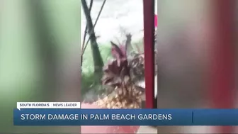 Storm damage reported in Palm Beach Gardens