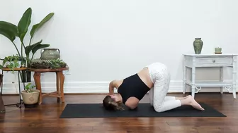 Back Pain Relief - Stretching Flow