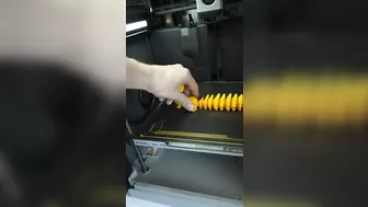 3D Printing a Flexible Squirrel