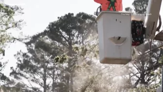 Volunteers lend a hand following Virginia Beach tornado