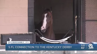 3 horses in Kentucky Derby trained in Palm Beach County