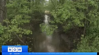 Hundreds of pounds of pasta dumped along N.J. stream