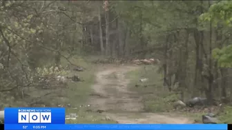 Hundreds of pounds of pasta dumped along N.J. stream