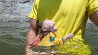 one day bita baby and the whole family went to the stream to bathe | DAD AND MONKEY BITA