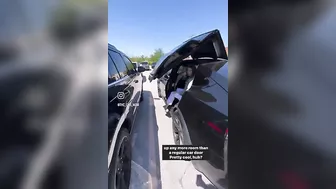 Tesla Model X Falcon Doors