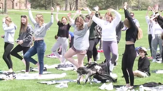 VIDEO | Wisconsin university tries goat yoga to ease stress before final exams