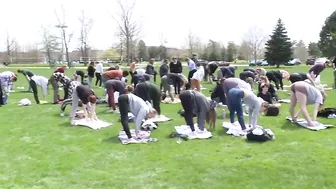 VIDEO | Wisconsin university tries goat yoga to ease stress before final exams