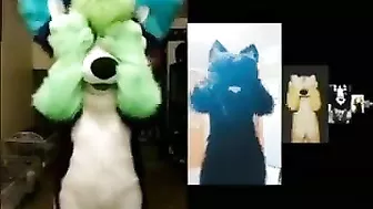 BEST Furry Tik Toks compilation 111 #shorts #furrytiktok #furry #furrycompilation