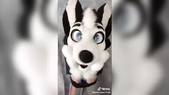 BEST Furry Tik Toks compilation 112 #shorts #furrytiktok #furry #furrycompilation