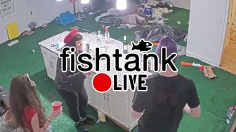 Fishtank.live TV Sitcom Short Intro (Rocky Stream)