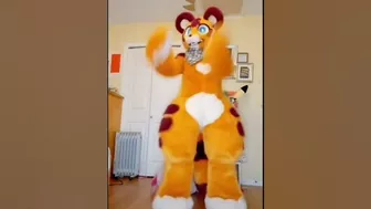 BEST Furry Tik Toks compilation 120 #shorts #furrytiktok #furry #furrycompilation