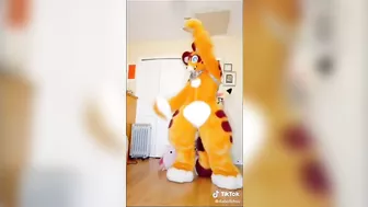 BEST Furry Tik Toks compilation 120 #shorts #furrytiktok #furry #furrycompilation