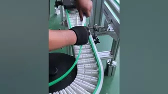 Flexible roller top chain conveyor