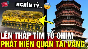 Trốn học đi 'TÌM TỔ CHIM', 3 cậu bé tìm thấy 'QUAN TÀI VÀNG' trị giá 17000 tỷ đồng | Động Tiin