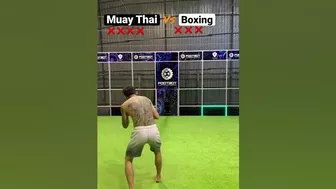 React and Evade Challenge: Boxer vs Muay Thai Fighter in an Epic Ball Dodging Showdown #martialarts